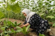 Asiya travaille dans une serre. « Nous ne voulons rien de l'État [turc], juste pouvoir vivre notre culture et parler notre langue. »